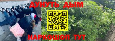 PSILOCYBIN Краснознаменск