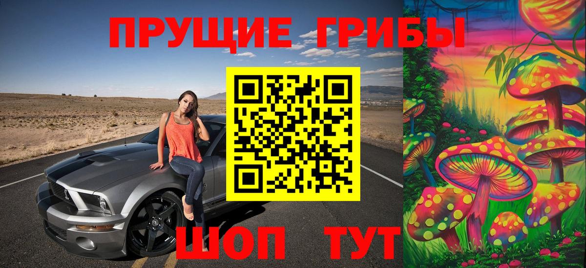 где найти   Псилоцибиновые грибы Cubensis  Вход с VPN  Калининград  Псилоцибиновые грибы мицелий 