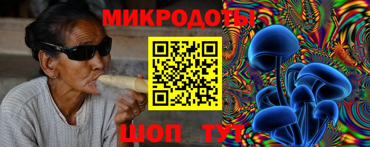 Галлюциногенные грибы Psilocybe Калининград